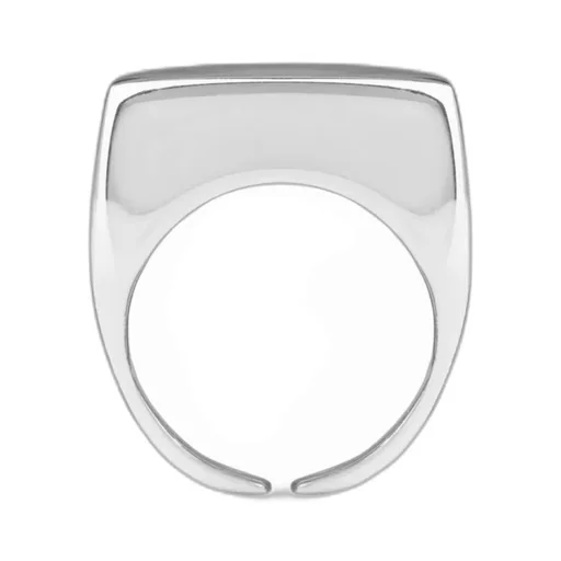 Geometric Ring