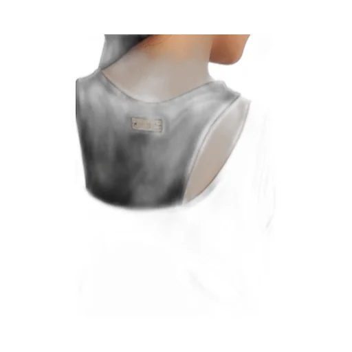Cut-Out Tulle Body