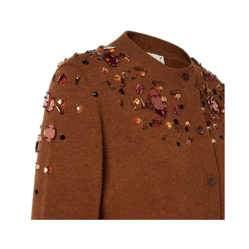 Embellished Buttoned Crewneck Cardigan