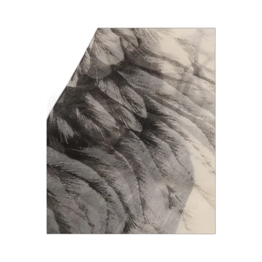 Printed Scarf