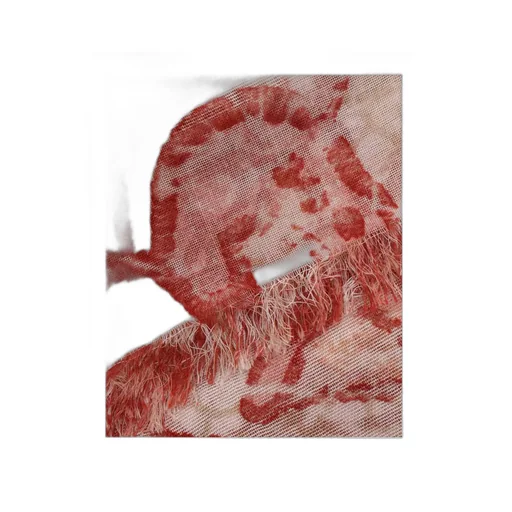 Printed Scarf