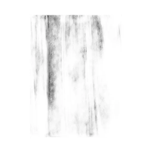 Pleated Tulle Skirt