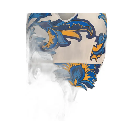 Paisley Printed V-Neck Midi Dress
