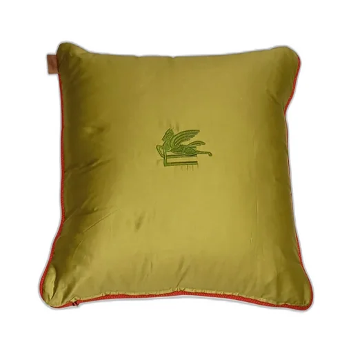 Paisley Cushion
