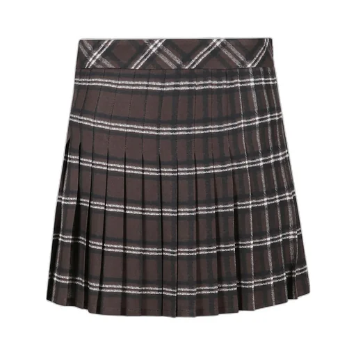 Pleated Lace Skirt