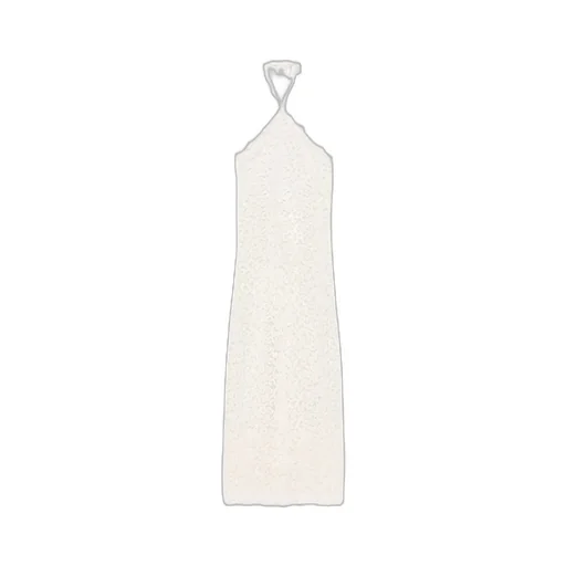Sleeveless Lace Detailed Maxi Dress