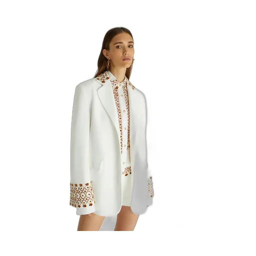 Single Breasted Embroidered Jacket