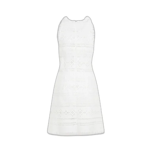 Fringed Sleeveless Mini Dress