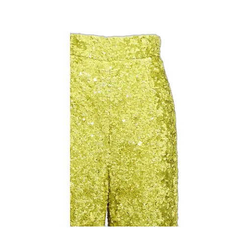 Sequin Embellished Flared Pants