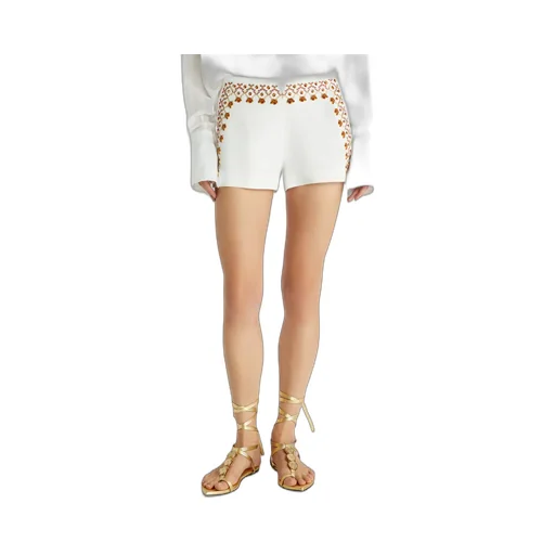 Embroidered Mini Shorts