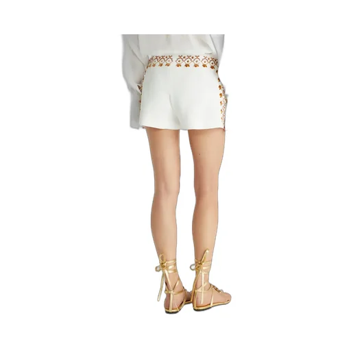 Embroidered Mini Shorts
