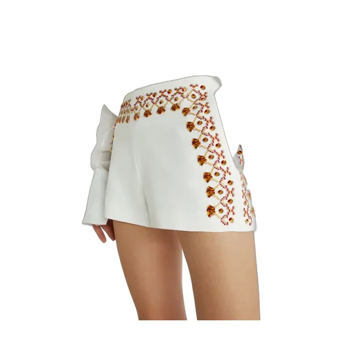 Embroidered Mini Shorts