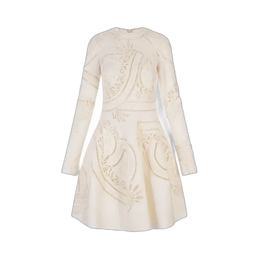 Long Sleeved Dress