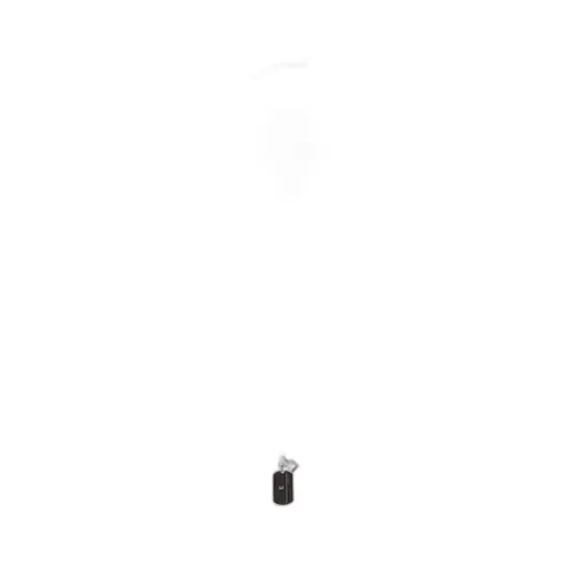 Pendant Necklace