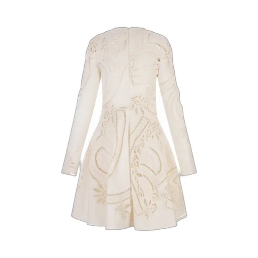 Long Sleeved Dress