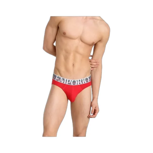Logo Detail Briefs