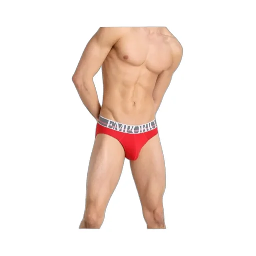 Logo Detail Briefs