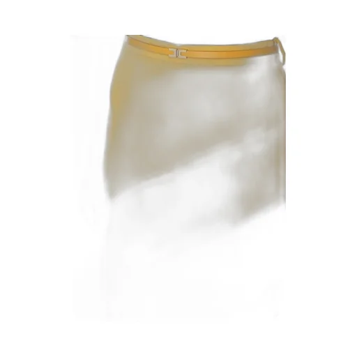 Belted Midi Skirt