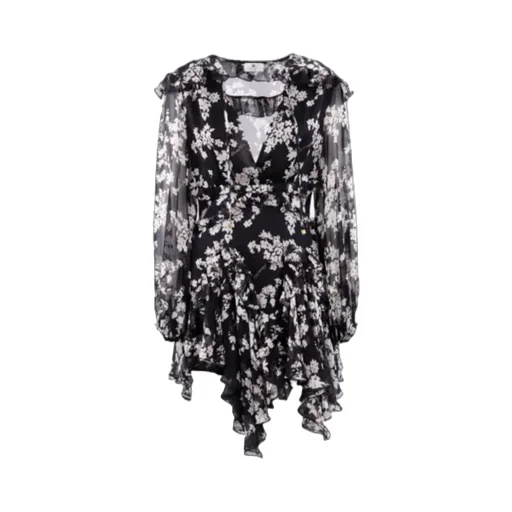 Ruffles Voile Printed Dress