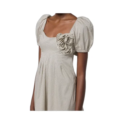 Embroidered Roses Polka Dot Printed Dress