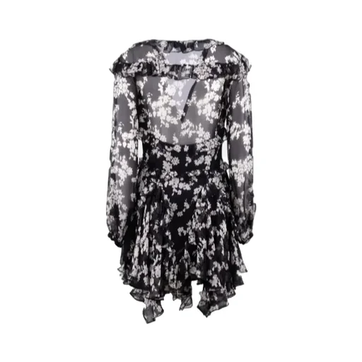Ruffles Voile Printed Dress