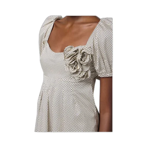 Embroidered Roses Polka Dot Printed Dress