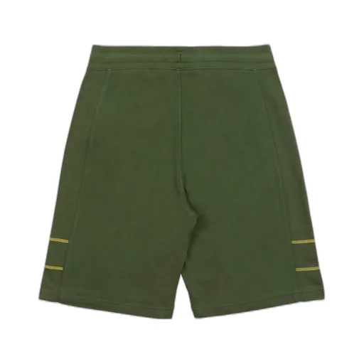 Elastic Waist Shorts