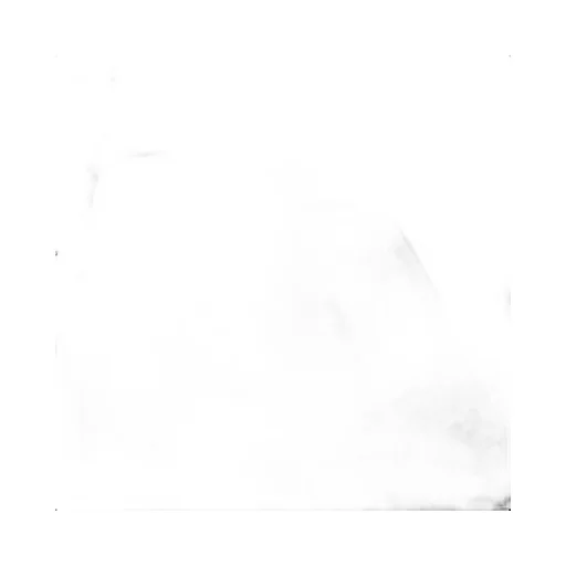 Logo Logo Shorts