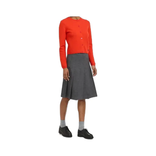Pleated Midi Skirt