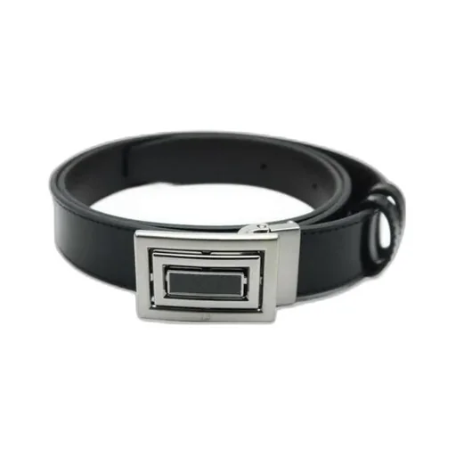 Logo Belt