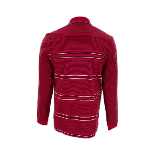 Striped Long Sleeve Polo Shirt