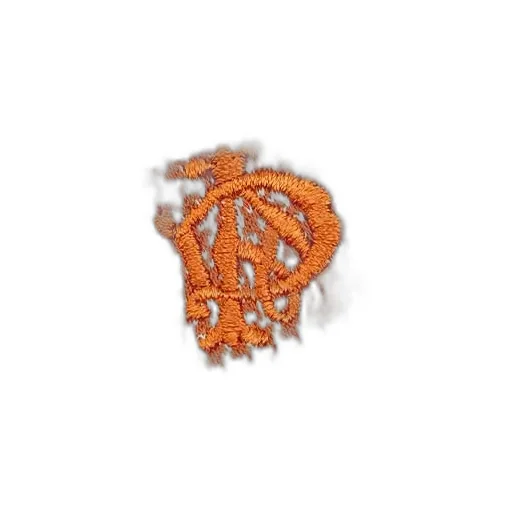 Logo Embroidered Polo Shirt