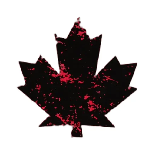 Maple Leaf-Print T-Shirt