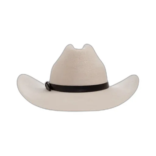 Western Dd Cowboy Hat