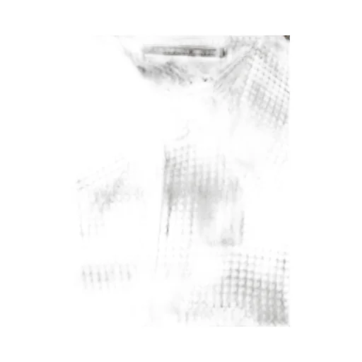 Carvies Shirt
