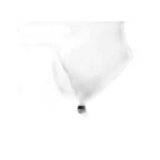 Concealed Fastened Shirt