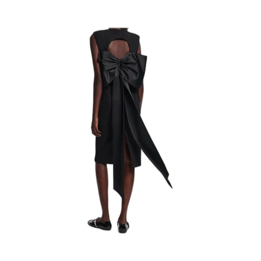 Emotional Essence Dress