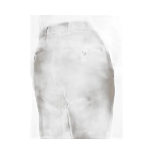 Belt Loop Casual Pants