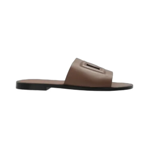 Dg Cut-Out Detailed Slides
