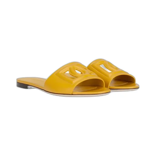 Dg Logo Slides