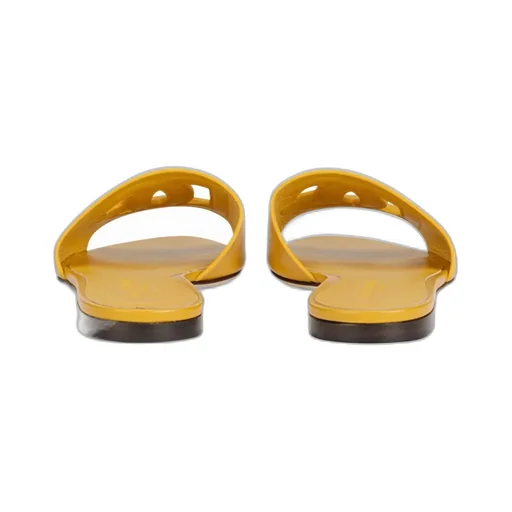 Dg Logo Slides