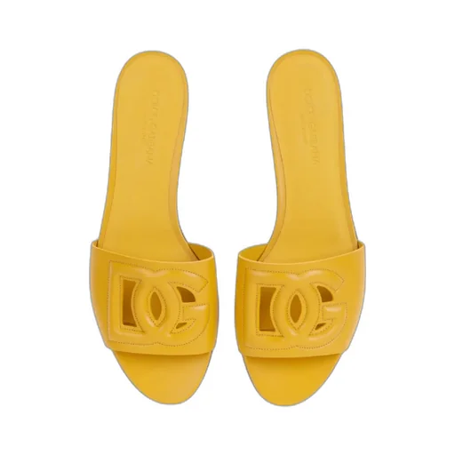 Dg Logo Slides
