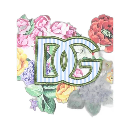 Dg Logo Patch Cropped T-Shirt