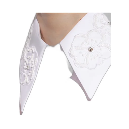 Embroidered Collar Long-Sleeved Shirt