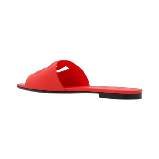 Dg Logo Slides