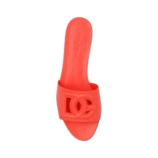 Dg Logo Slides