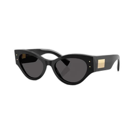 Butterfly Frame Sunglasses