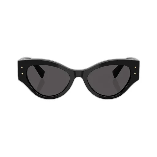 Butterfly Frame Sunglasses