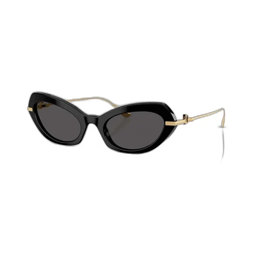 Butterfly Frame Sunglasses