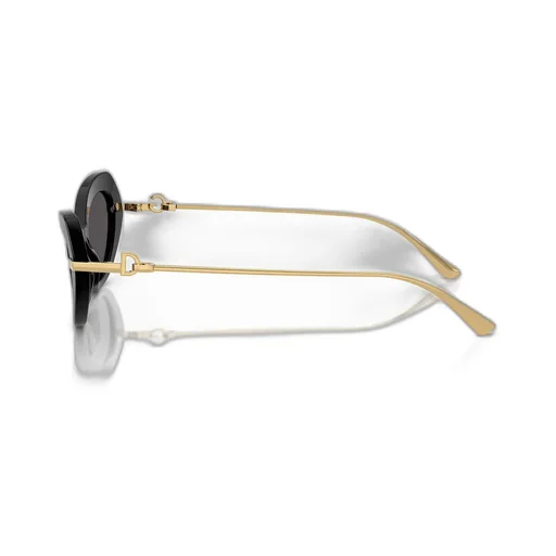 Butterfly Frame Sunglasses